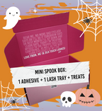 Mini Spook Box