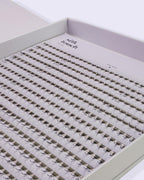 Premade 6D 0.07 D-Curl 600 Fans